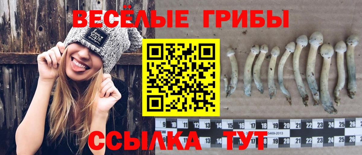 Кимовск  Галлюциногенные грибы мицелий  наркотики  Вход с VPN  Псилоцибиновые грибы Psilocybe 