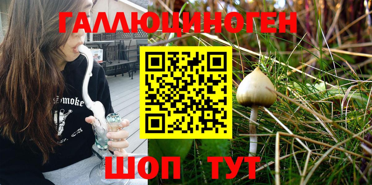 Псилоцибиновые грибы Psilocybe Кимовск